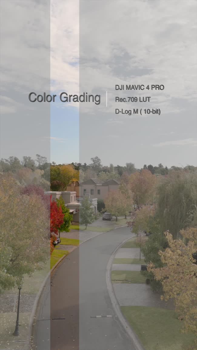 Fotograma del trabajo Color grading