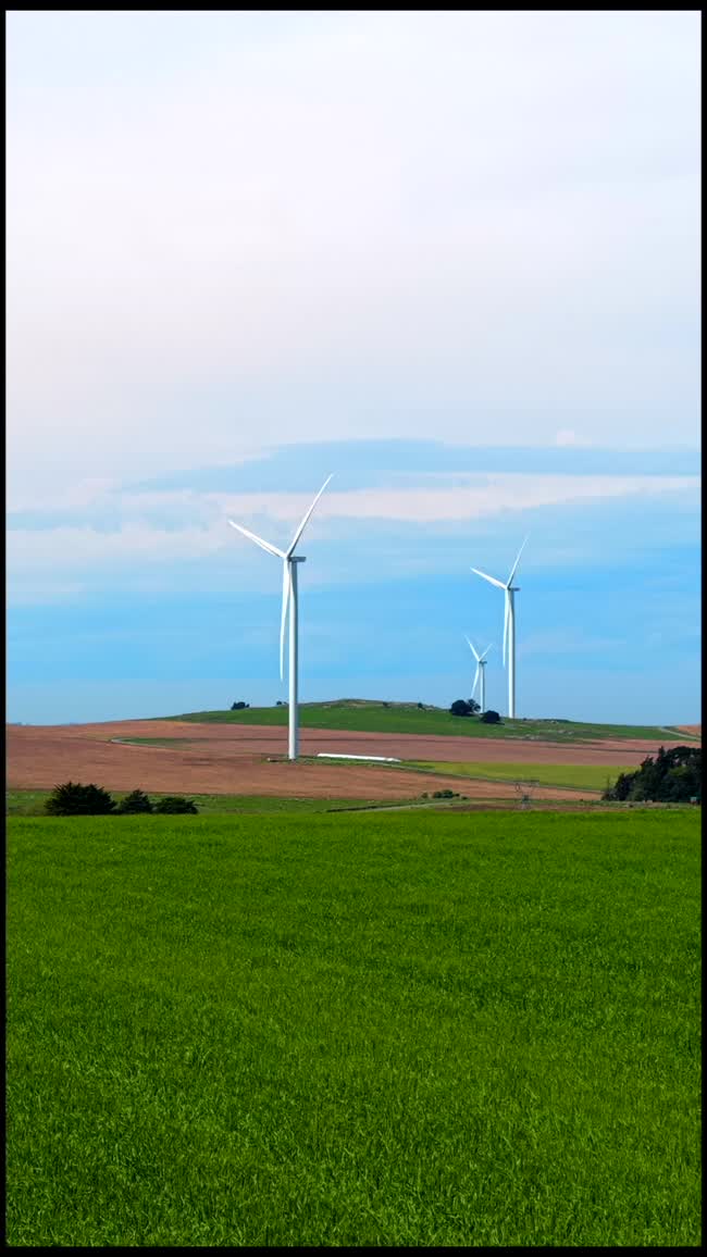 Fotograma del trabajo Molinos de viento